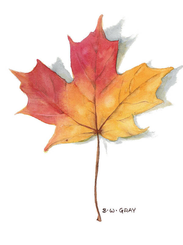 Maple Leaf Poster featuring the painting Maple Leaf by Betsy Gray