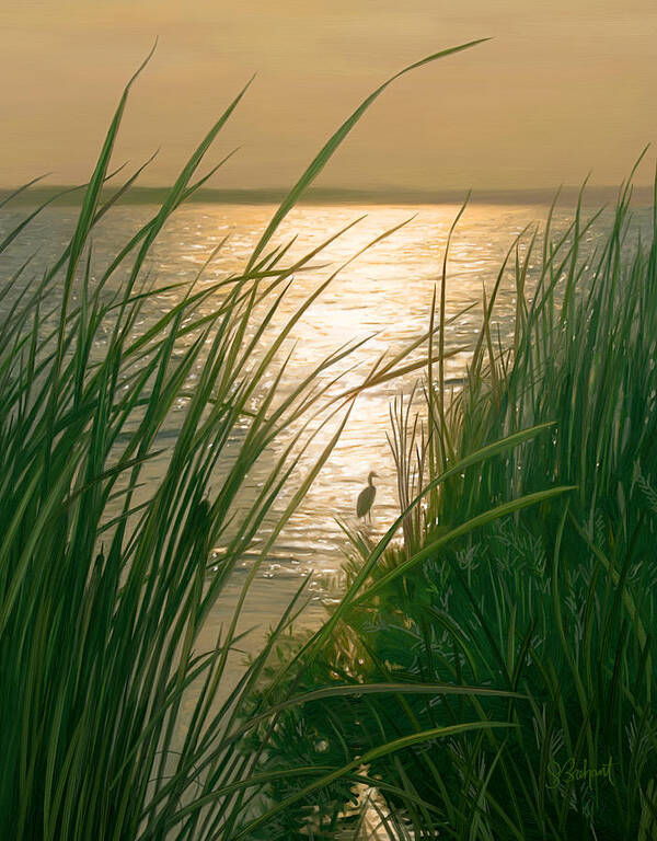 Cape Cod Poster featuring the digital art Marsh Sunset by Sue Brehant