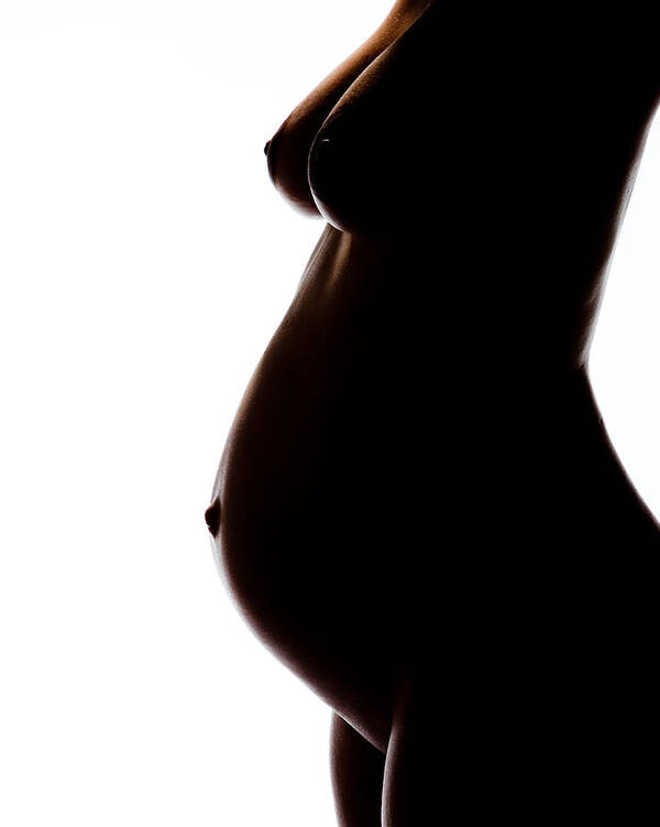Maternity Poster featuring the photograph Maternity 259 by Michael Fryd