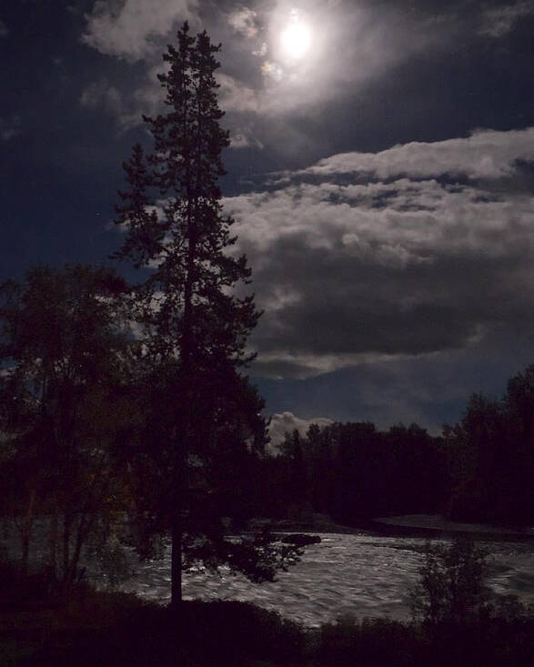 Moon Poster featuring the photograph Moonlight on the River by Mary Lee Dereske