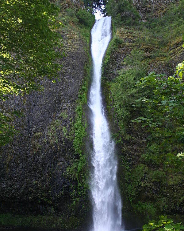 Waterfall Poster featuring the photograph Multnomah Falls WF1039 by Mary Gaines