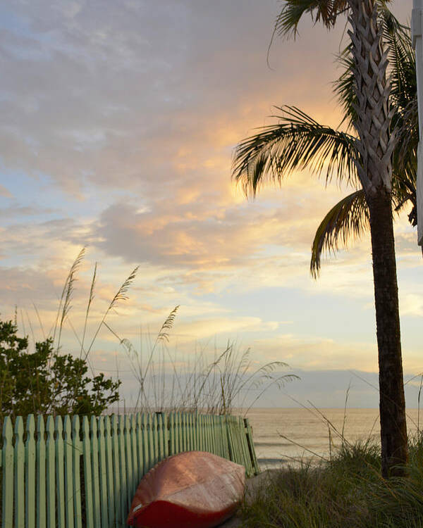 Palm Tree Poster featuring the photograph My Favorite Place by Alison Belsan Horton