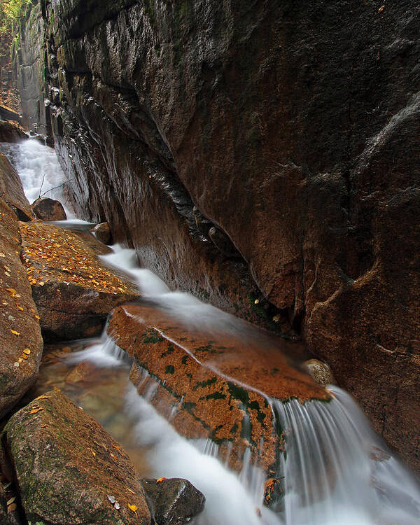 Flume Gorge Poster featuring the photograph New Hampshire Flume Gorge by Juergen Roth