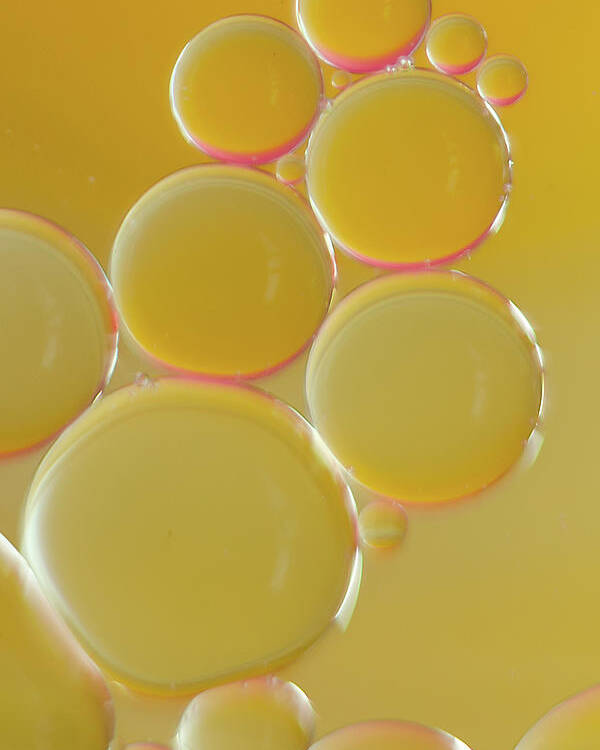 Water Poster featuring the photograph Oil bubbles on water abstract by Andy Myatt