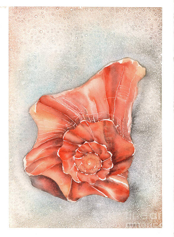 Whelk Poster featuring the painting Old Whelk by Hilda Wagner