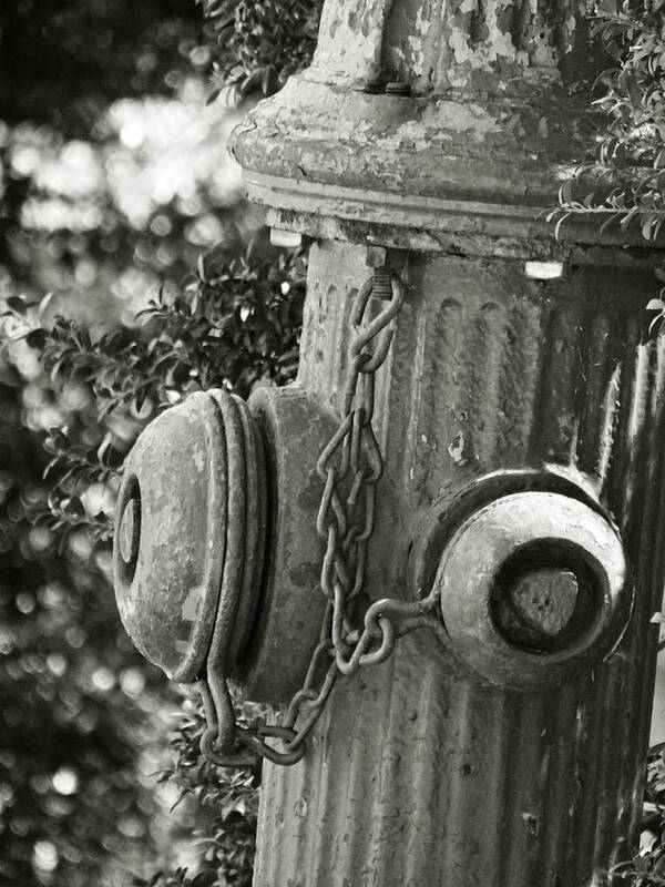 Old Poster featuring the photograph Old Fire Hydrant by Dark Whimsy