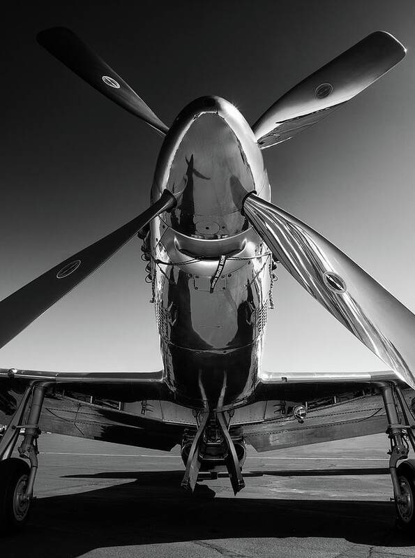 P51 Poster featuring the photograph P-51 Mustang by John Hamlon