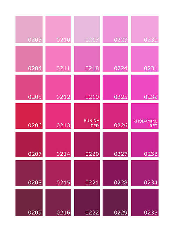 Pink Pantone Color Chart Shades