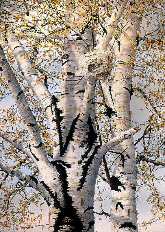 Birch Tree Poster featuring the painting Paper-Wasp Nest by Conrad Mieschke