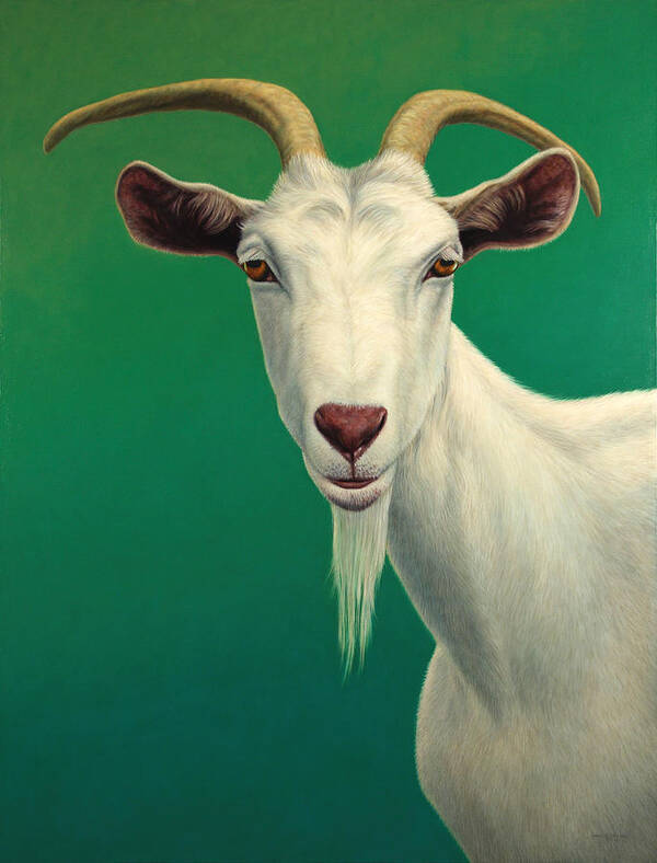 Goat Poster featuring the painting Portrait of a Goat by James W Johnson