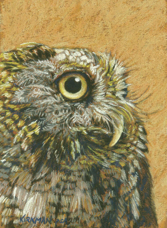 Rita Kirkman Poster featuring the pastel Portrait of a Screech Owl by Rita Kirkman