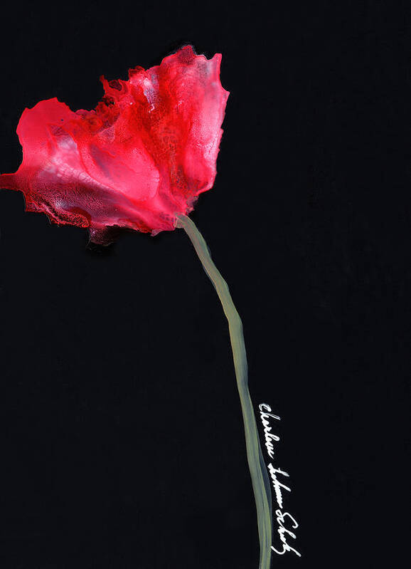 Red Poppy Poster featuring the painting Red Poppy by Charlene Fuhrman-Schulz