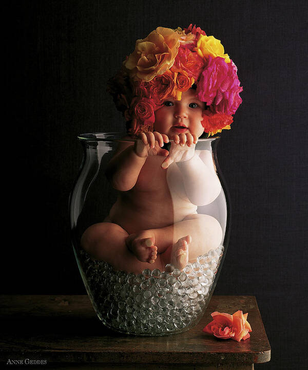 Rose Poster featuring the photograph Vase of Roses by Anne Geddes