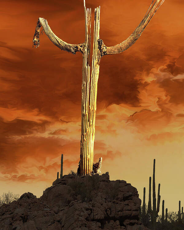 Saguaro Poster featuring the photograph Saguaro Sculpture by Mike Stephens