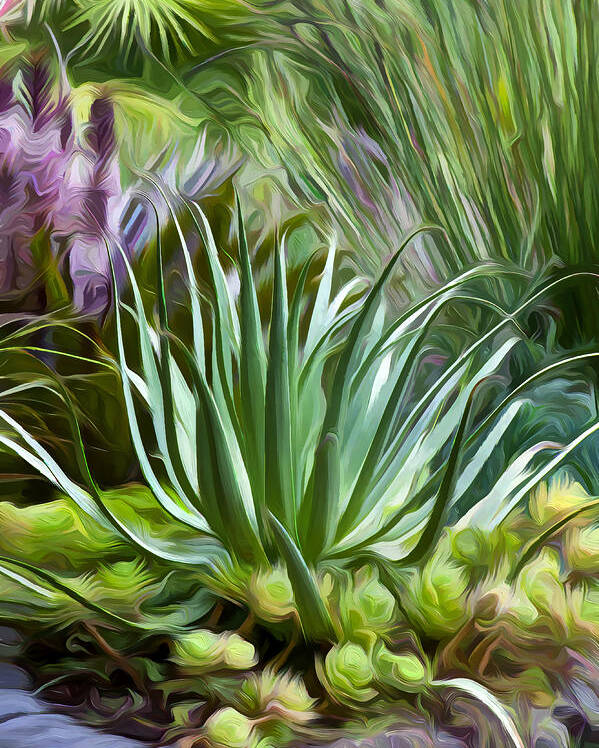 Containers Poster featuring the photograph Sherrie's Spider Agave by Saxon Holt