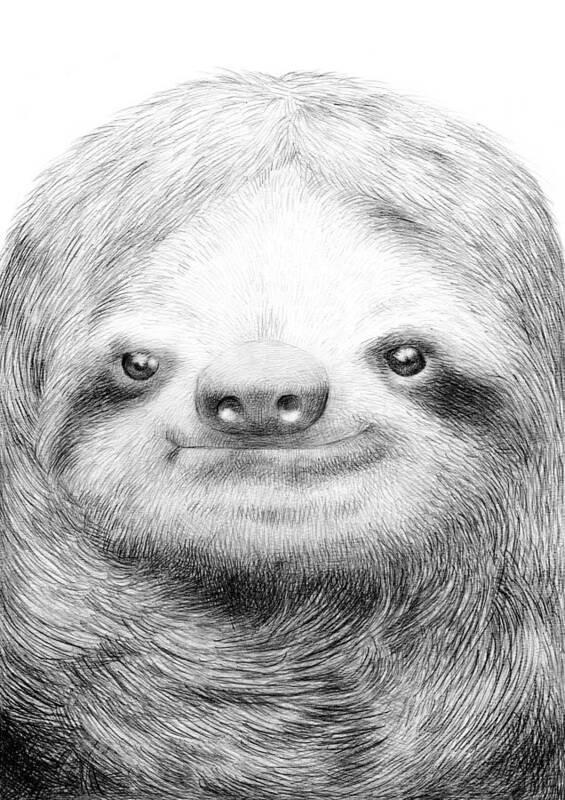 Sloth Poster featuring the drawing Sloth by Eric Fan