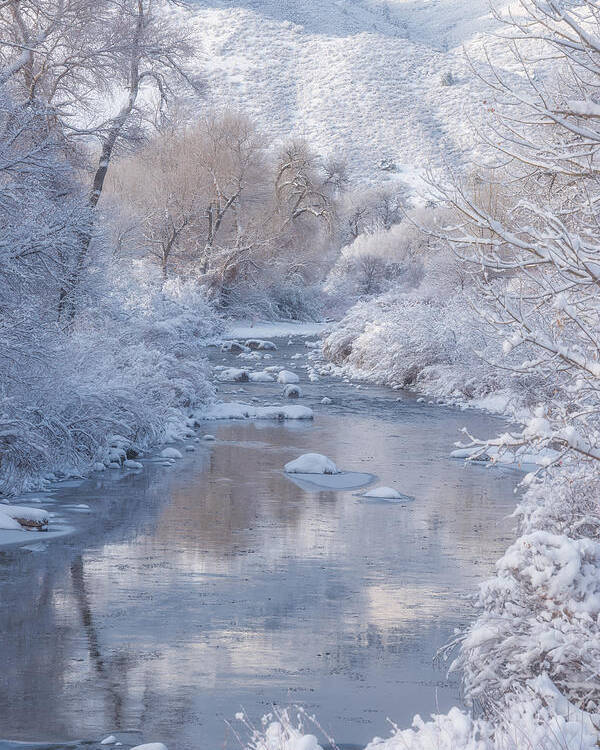 Winter Poster featuring the photograph Snow Creek by Darren White