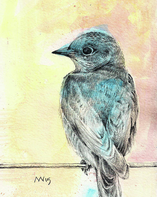 Bluebird Poster featuring the mixed media Spring Bluebird by AnneMarie Welsh