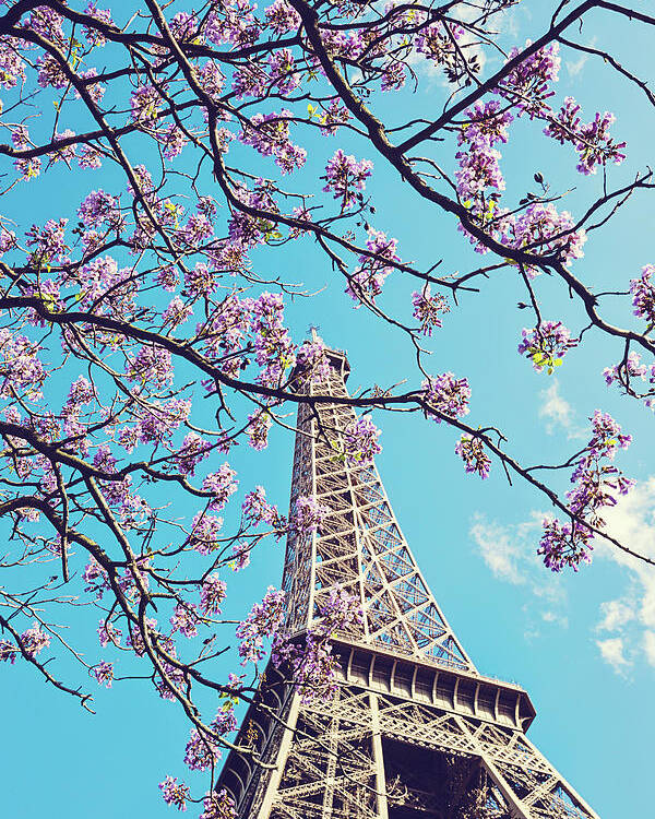 Paris Photography Poster featuring the photograph Springtime in Paris - Eiffel Tower Photograph by Melanie Alexandra Price