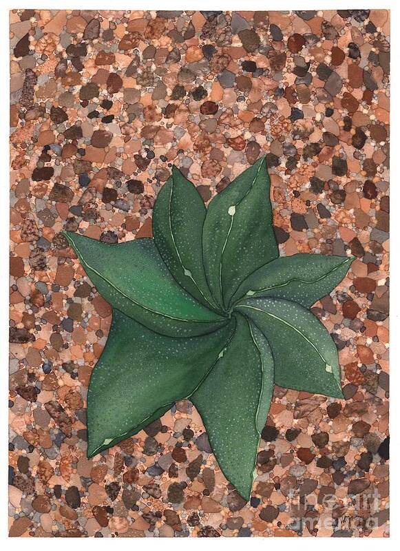 Succulent Poster featuring the painting Star Succulent by Hilda Wagner