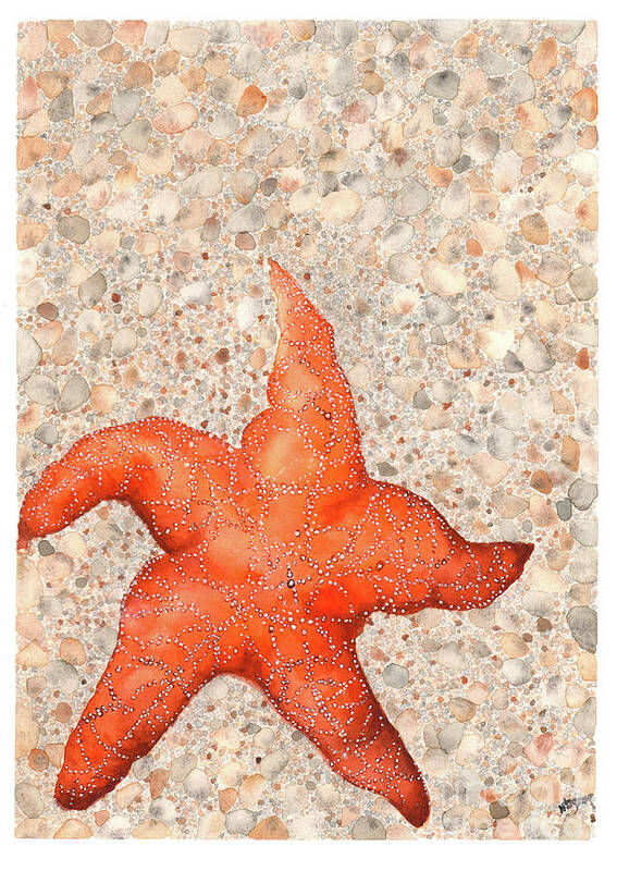 Starfish Poster featuring the painting Stranded Starfish by Hilda Wagner
