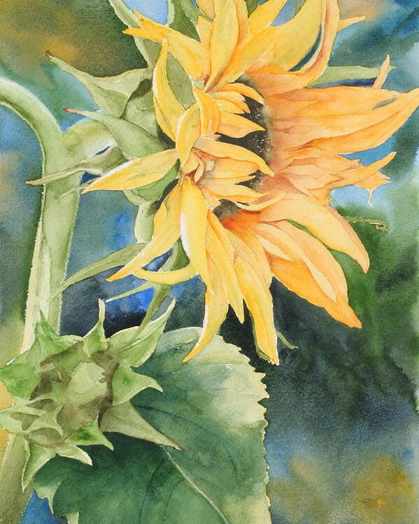 Flower Poster featuring the painting Summer Sunflower by Marsha Karle