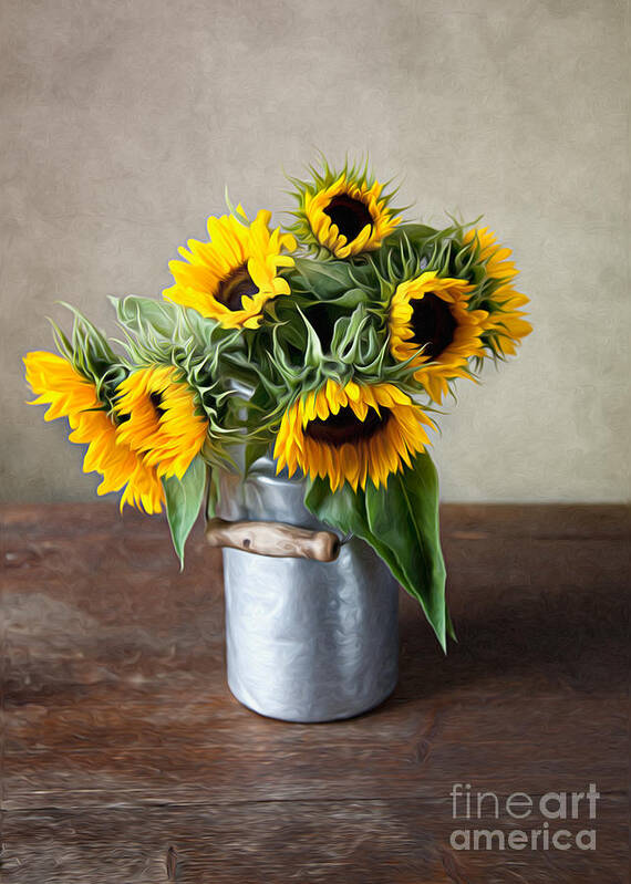 Sunflower Poster featuring the photograph Sunflowers by Nailia Schwarz