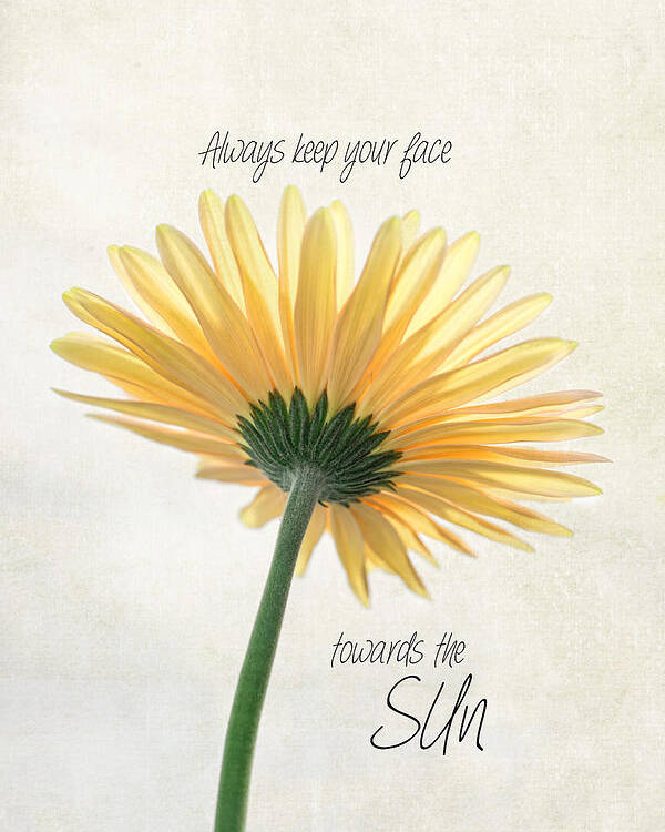 Floral Poster featuring the photograph Sunshine by Robin-Lee Vieira