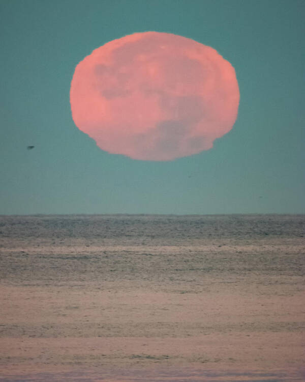 California Poster featuring the photograph Supermoon 2016 at Moonset over the Pacific by Adam Rainoff