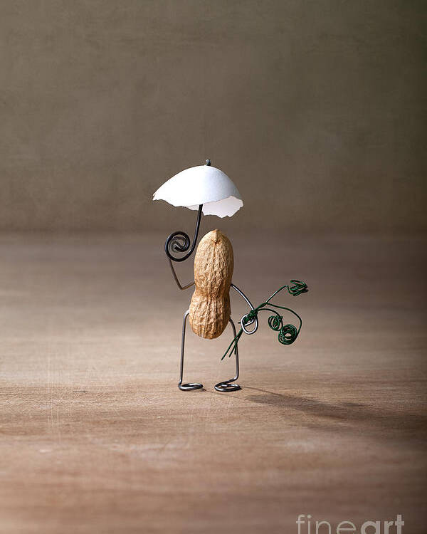 Peanut Poster featuring the photograph Taking a Walk 01 by Nailia Schwarz