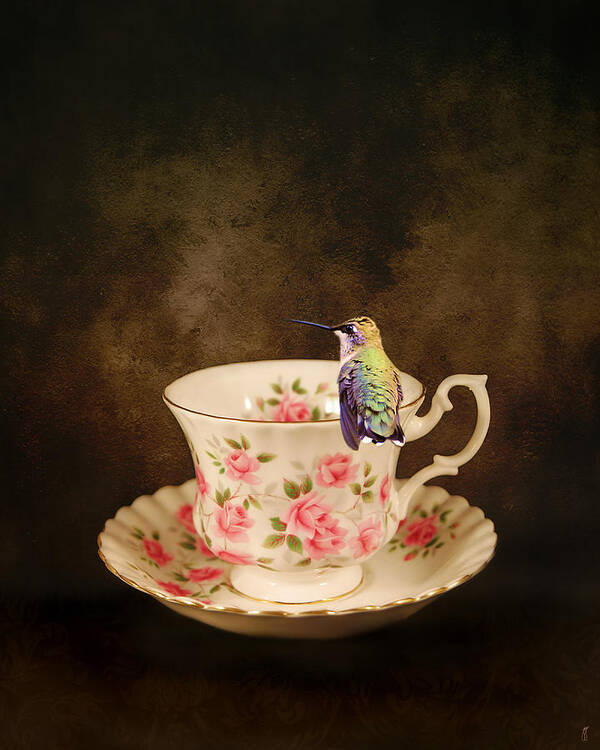 Hummingbird Poster featuring the photograph Tea Time With a Hummingbird by Jai Johnson