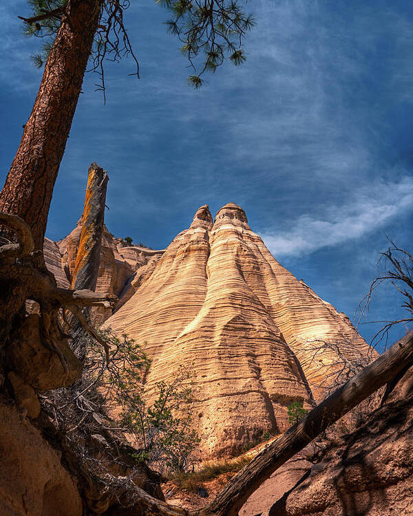 Beautiful Poster featuring the photograph Tent Rock and Ponderosa Pine by Robert FERD Frank