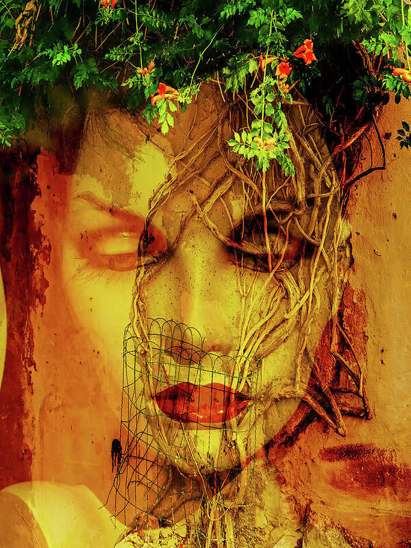 Face Poster featuring the photograph The face and the tree by Gabi Hampe