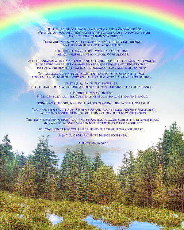 The Rainbow Bridge Poem Poster by Mark Andrew Thomas - Fine Art America