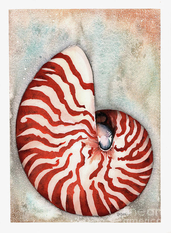 Nautilus Poster featuring the painting Tiger Nautilus by Hilda Wagner