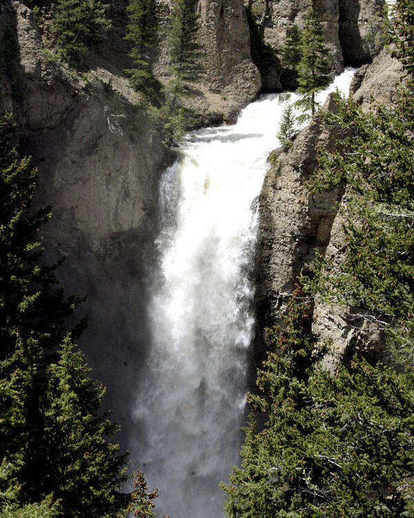 Waterfall Poster featuring the photograph Undine Falls WF9516 by Mary Gaines