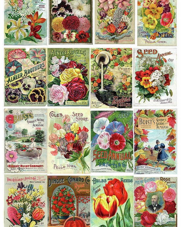 Vintage Flower Seed Packets Printable