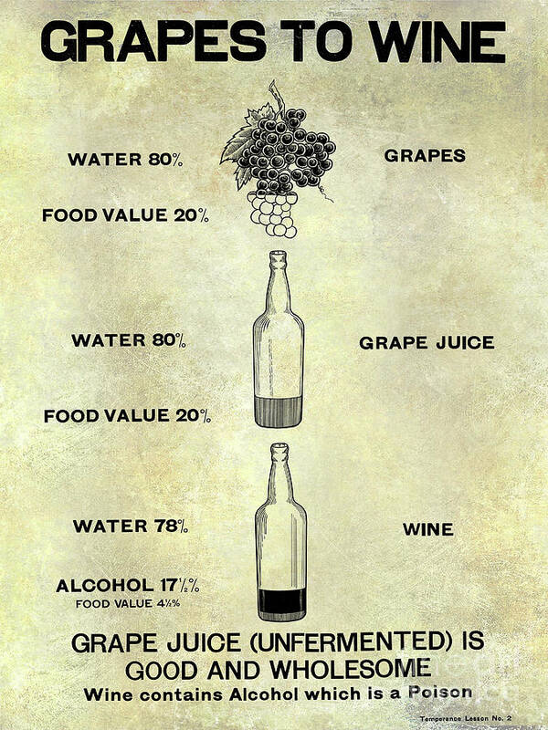 Wine Varietals Chart