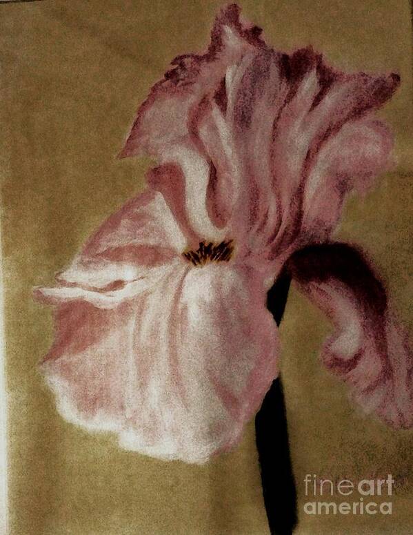 Painting Poster featuring the painting Vintage Iris by Marsha Heiken