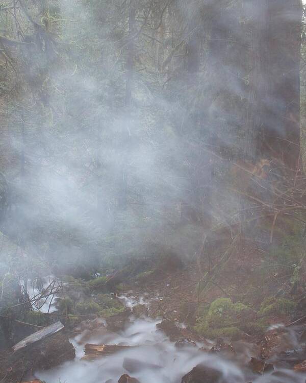 Wahkeena Mist Poster featuring the photograph Wahkeena Mist by Dylan Punke