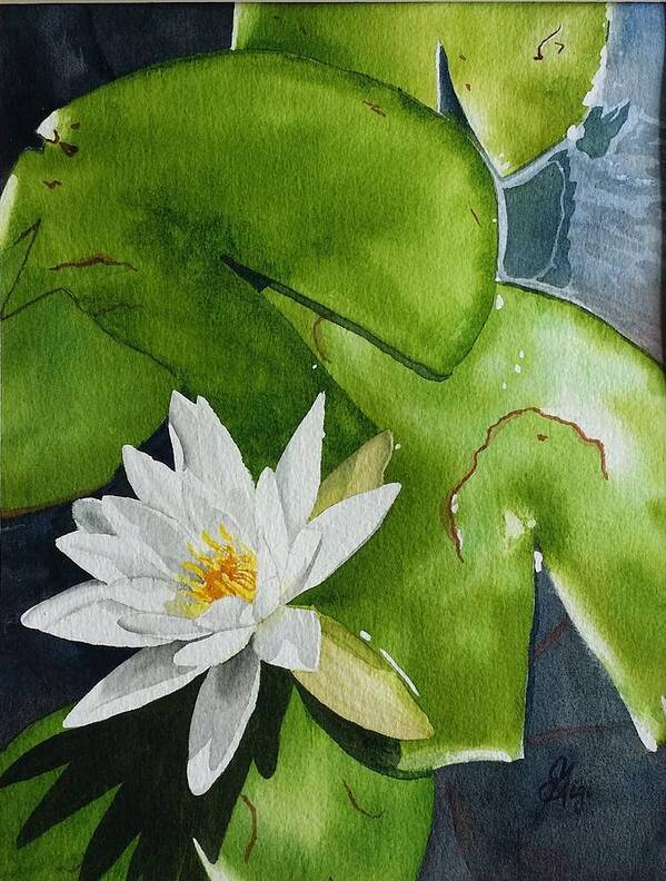 Water Poster featuring the painting Water Lilly by Gigi Dequanne