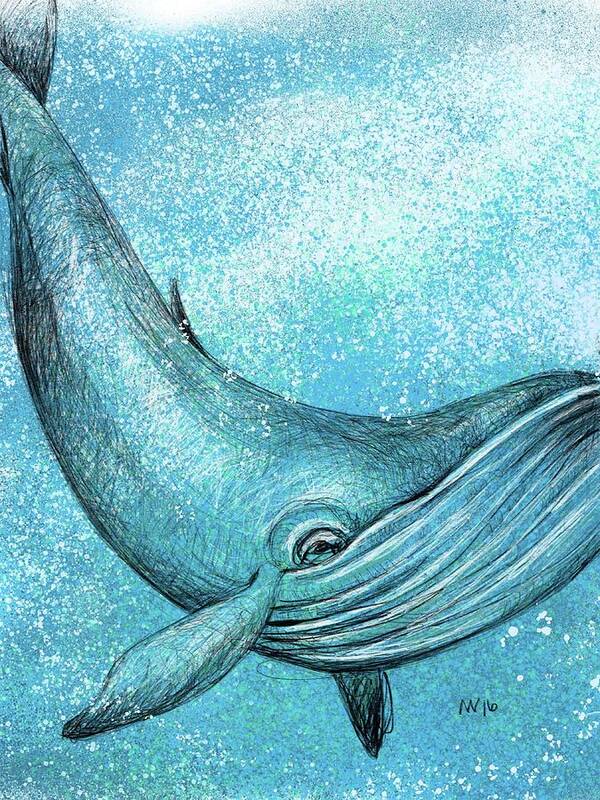 Whale Poster featuring the digital art Whimsical Whale by AnneMarie Welsh