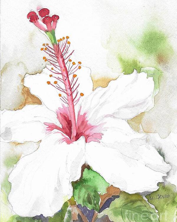 Flower Poster featuring the painting White Hibiscus by Mafalda Cento