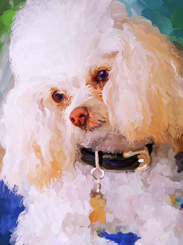 White Poster featuring the painting White Poodle by Jai Johnson