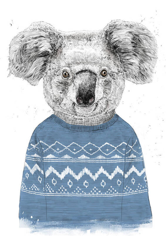 Koala Poster featuring the drawing Winter koala by Balazs Solti