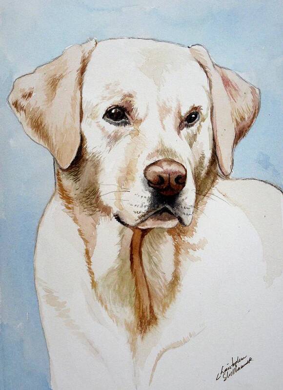 Lab Poster featuring the painting Yellow Lab by Christopher Shellhammer