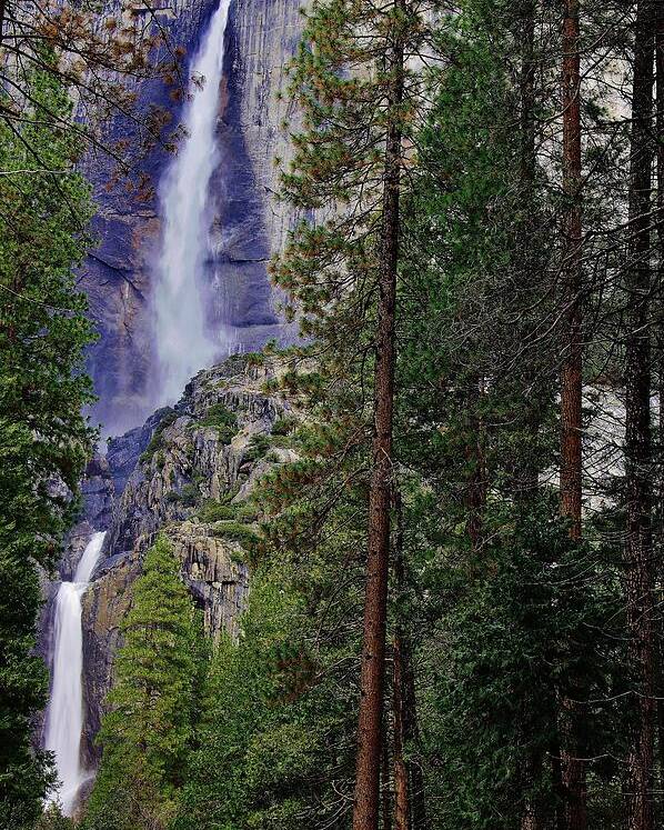 Yosemite Fallls Poster featuring the photograph Yosemite Falls C by Phyllis Spoor
