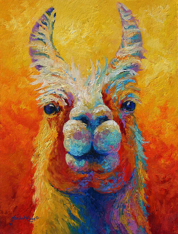 Llama Poster featuring the painting You Lookin At Me by Marion Rose
