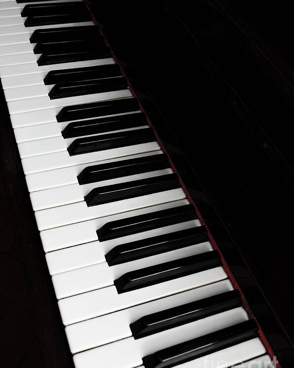 Piano Poster featuring the photograph The Piano by Jelena Jovanovic