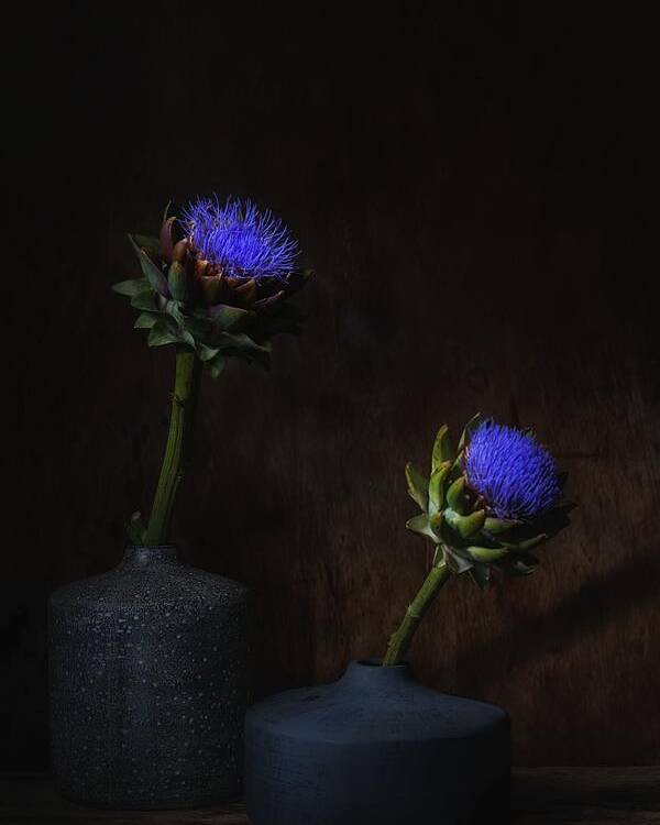 Flower Poster featuring the photograph Electric Blue. by Saskia Dingemans